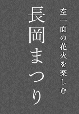 空一面の花火を楽しむ　長岡まつり